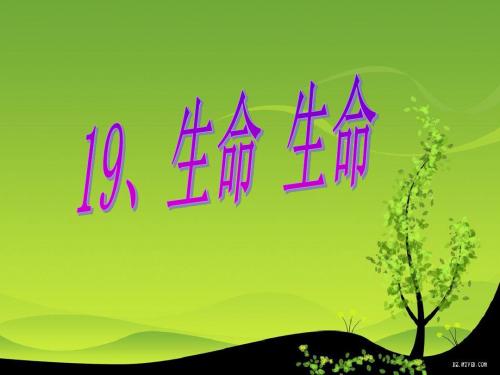 语文人教四年级下册人教版小语四下《生命 生命》第一课时教学课件