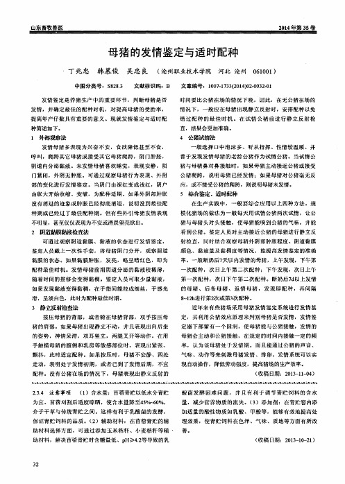 母猪的发情鉴定与适时配种