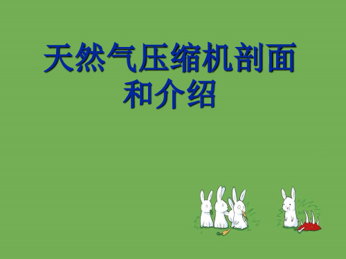 天然气压缩机剖面和介绍
