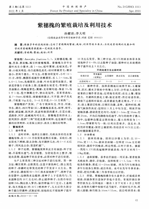 紫穗槐的繁殖栽培及利用技术