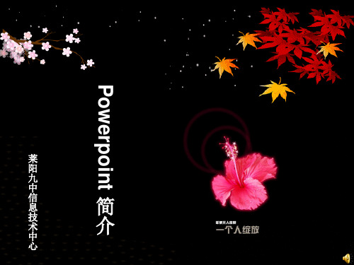 ww-powerpoint2003_教学课件