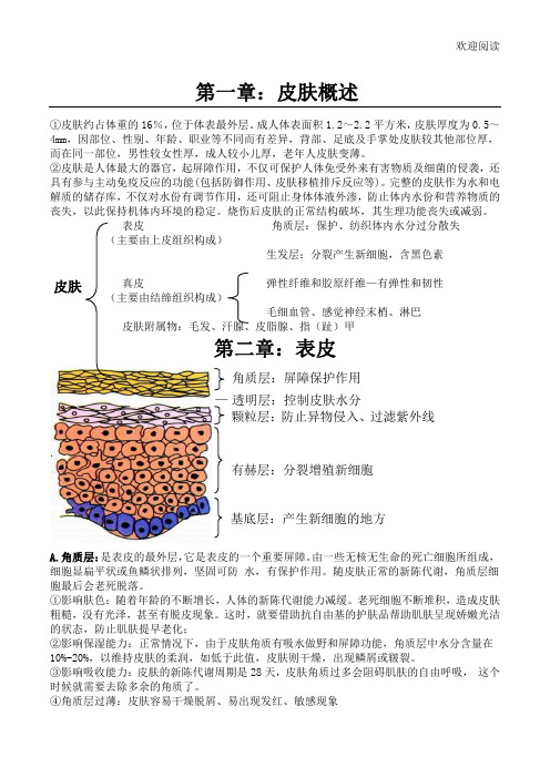 皮肤管理基础知识