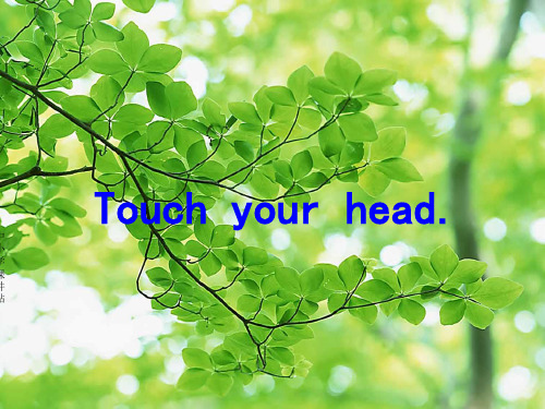 三年级英语上册 unit 10 touch yout head课件1