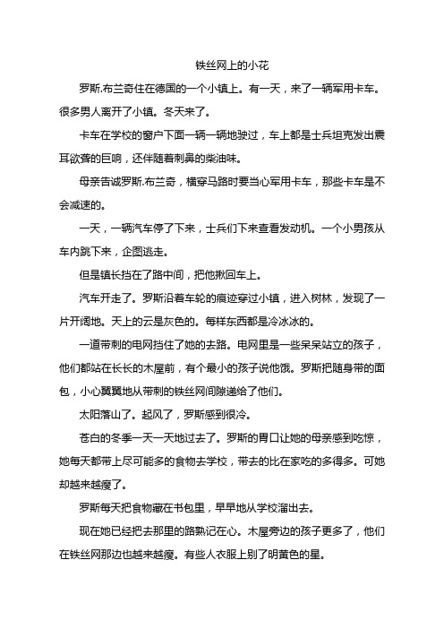 铁丝网上的小花