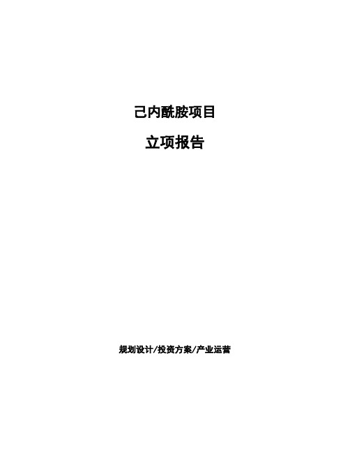 己内酰胺项目立项报告