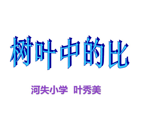 六年级上册数学课件树叶中的比苏教版3