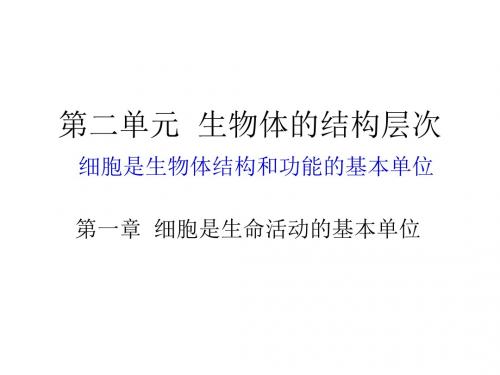 人教版七年级生物上册课件：2.1.1 练习使用显微镜(共39张PPT)[1]