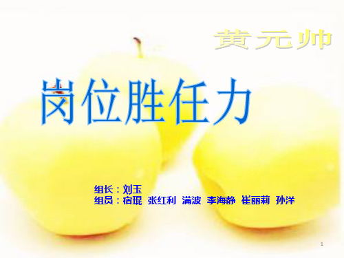 岗位胜任力PPT课件