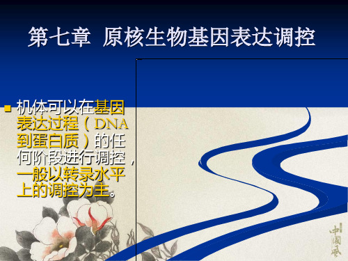 《现代分子生物学》第七章原核生物基因表达调控