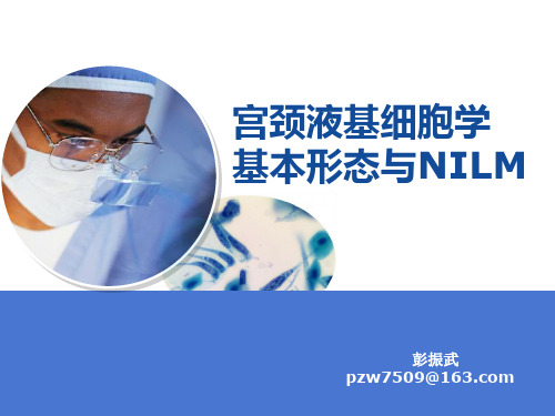 宫颈液基细胞学基本形态与NILM