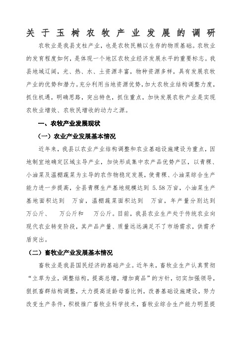 玉树县农牧业产业发展途径