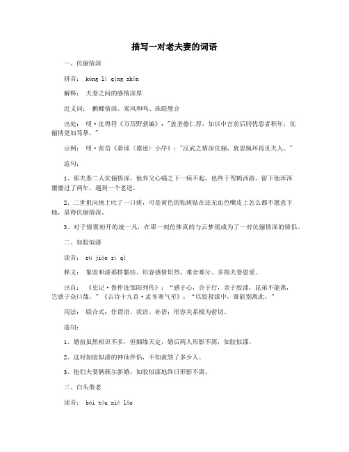描写一对老夫妻的词语