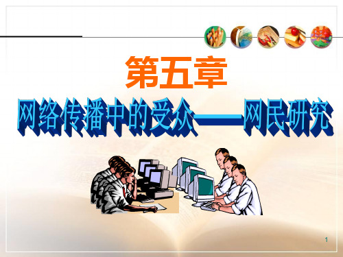 15第五章网络传播中的受众——网民研究PPT课件