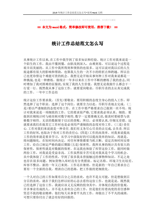 2019年统计工作总结范文怎么写-实用word文档 (2页)