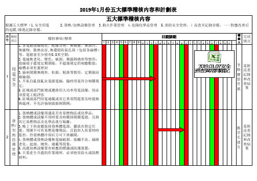 2019年五大稽核内容和计划表