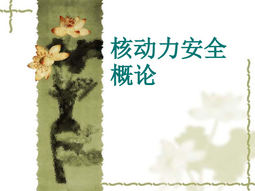 大学精品课件：核安全概论总结