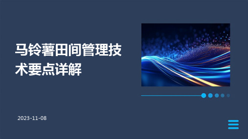 马铃薯田间管理技术要点详解