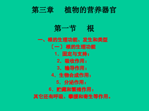 《营养器官》幻灯片PPT