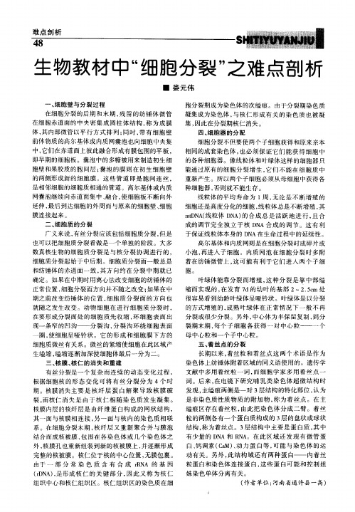 生物教材中“细胞分裂”之难点剖析