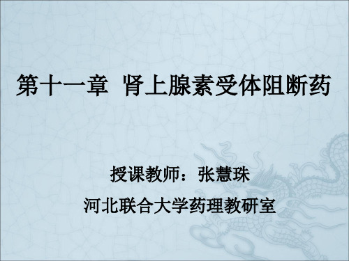 《抗肾上腺素药物》PPT课件