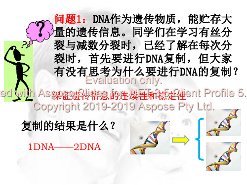高二生物第三章第节遗传信息的传递23页PPT