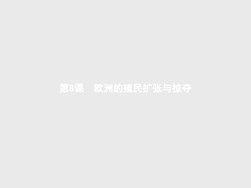 岳麓版 省优精品课件 欧洲的殖民扩与掠夺  张PPT