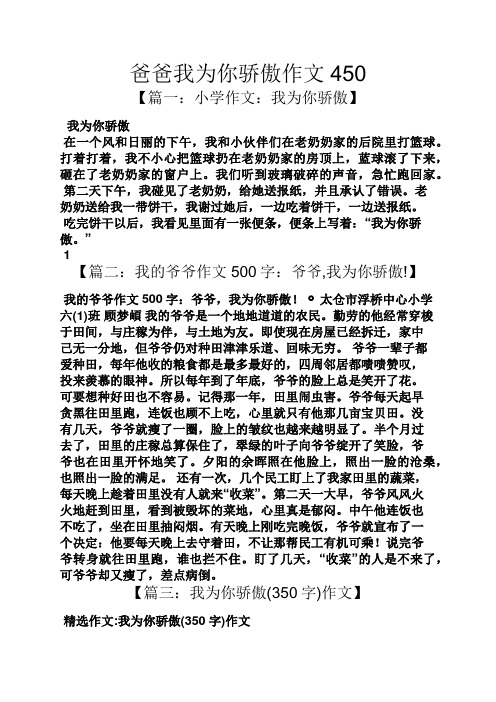 爸爸作文之爸爸我为你骄傲作文450
