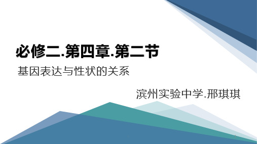 基因表达与性状的关系PPT课件