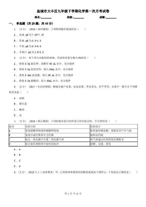 盐城市大丰区九年级下学期化学第一次月考试卷