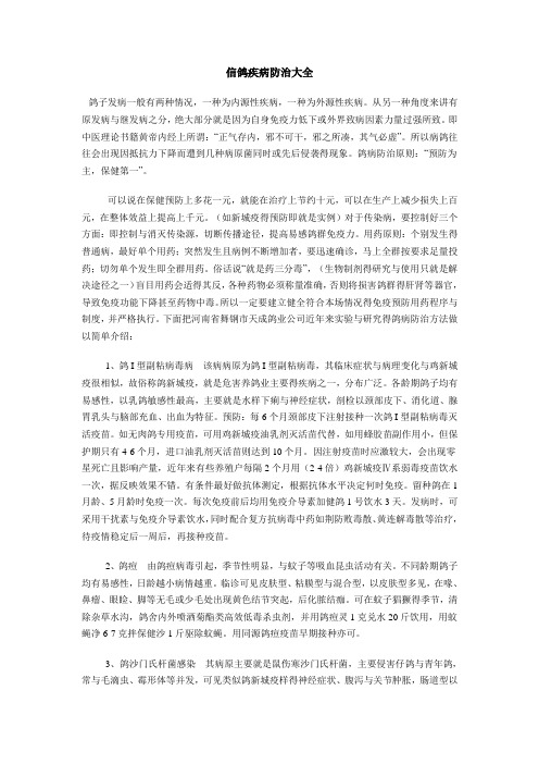 信鸽疾病防治大全