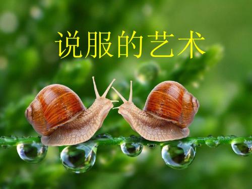 初中语文课件《说服的艺术》