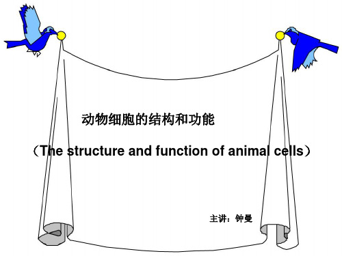 动物细胞的结构和功能