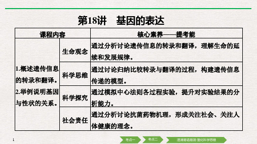 新高考生物总复习必修2 第18讲 基因的表达