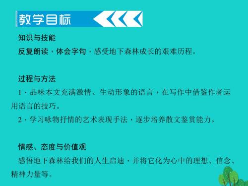 九年级语文下册第三单元11《地下森林断想》课件2(新版)新人教版