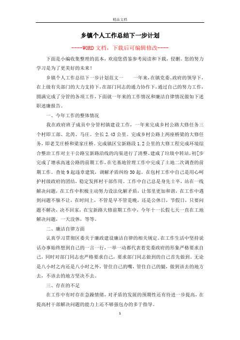 乡镇个人工作总结下一步计划