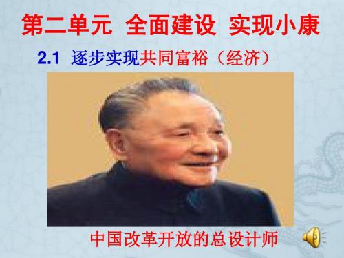 九年级政治全册2.1逐步实现共同富裕课件粤教版