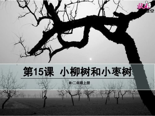 二年级语文上册《15 小柳树和小枣树》课件