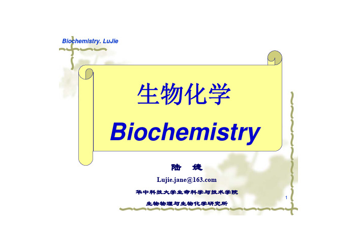 15-核酸的理化性质和研究方法