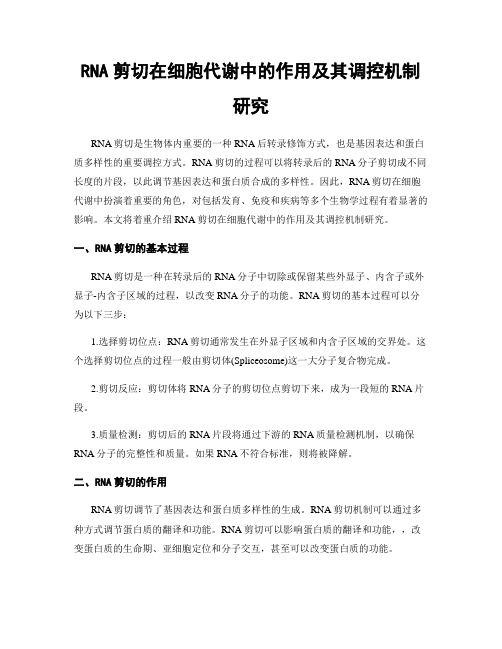 RNA剪切在细胞代谢中的作用及其调控机制研究