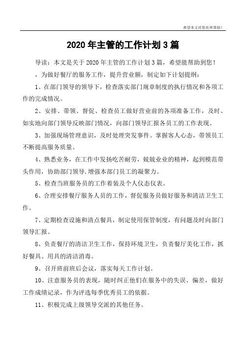 2020年主管的工作计划3篇