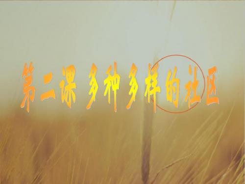 初中历史课件-多种多样的社区 最新