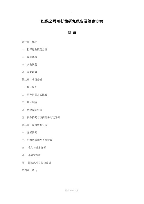 担保公司可行性研究报告及筹建方案