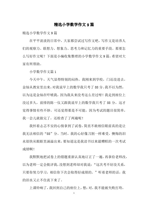 精选小学数学作文9篇