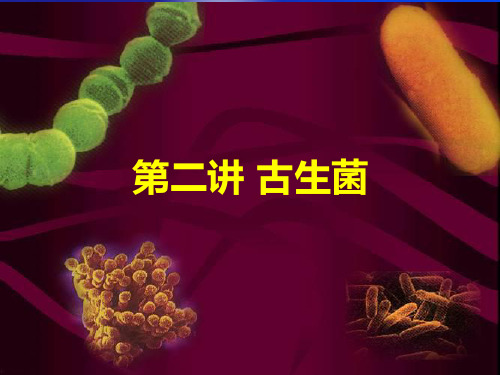 古生菌