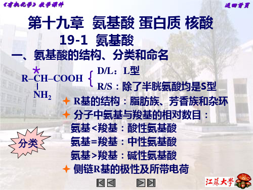 氨基酸蛋白质核酸(4)PPT课件
