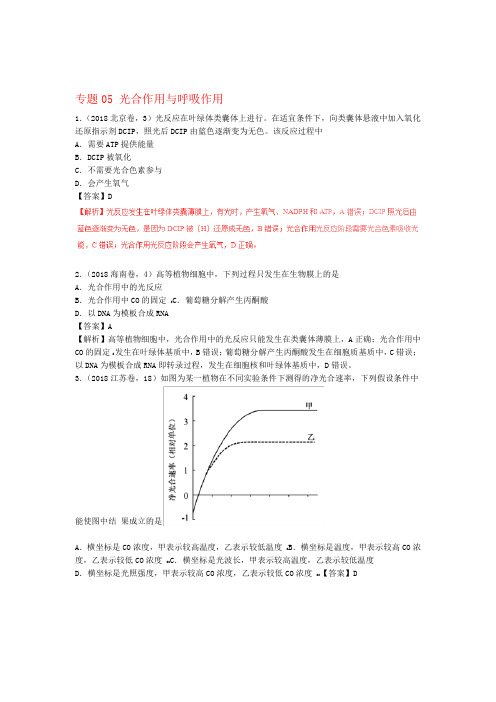 高考真题高考生物试题分项解析专题05 光合作用与呼吸作用含答案