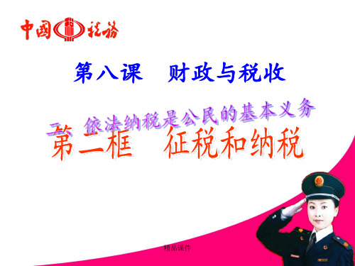 依法纳税(公开课)