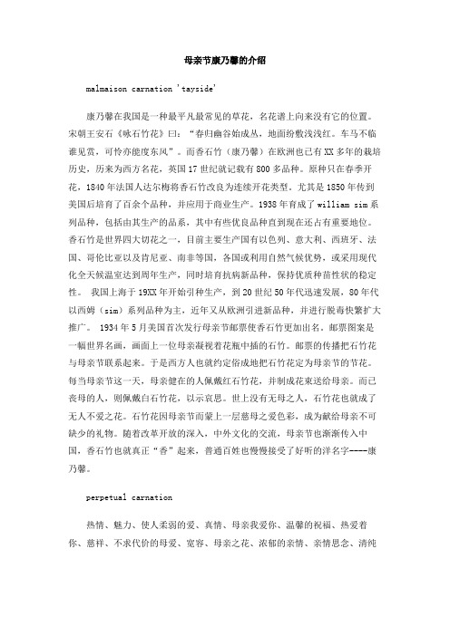 母亲节康乃馨的介绍