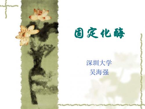 9-固定化酶-12