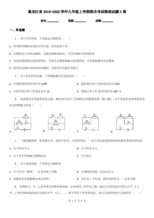 黑龙江省2019-2020学年九年级上学期期末考试物理试题C卷